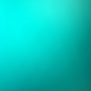 Meet your Posher, Hanna